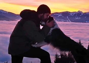 Man Leaves Everything Behind and Goes on Adventure with His Dog, Capturing Epic Pics
