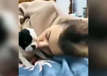 This Pup’s Reaction to a Kiss from His Mom Is Too Adorable