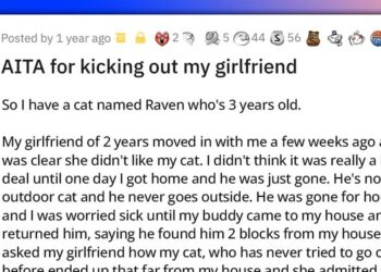 Reddit User Kicks Out Girlfriend After She Gets Rid of His Cat