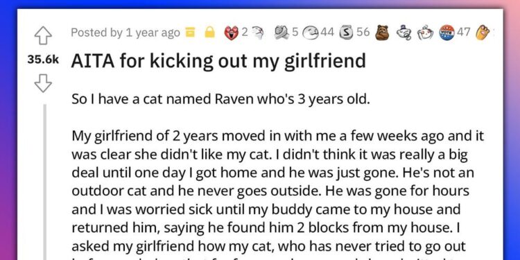 Reddit User Kicks Out Girlfriend After She Gets Rid of His Cat