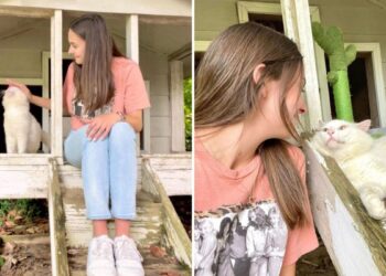 Woman Surprised to Find Her New Home Already Occupied by Furry Friends