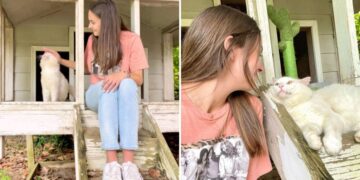 Woman Surprised to Find Her New Home Already Occupied by Furry Friends