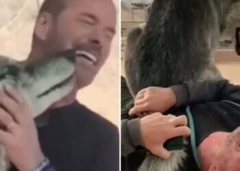 Man Saves Wolf from Garbage Dump – Their Unique Bond Inspires Millions