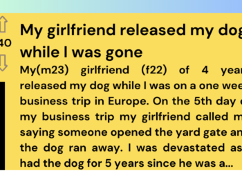 Man’s Business Trip Ends in Heartbreak as Girlfriend Intentionally Releases His Beloved Dog