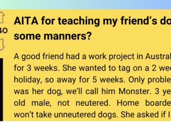 Redditor Takes Matters Into Their Own Hands, Teaches Friend’s Dog Manners, and Faces Accusations of Breaking Its Spirit