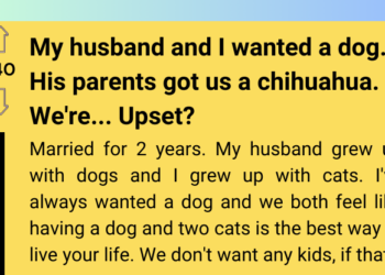 Couple Upset After Receiving Unwanted Gift from Parents, Seeks Ways to Get Rid of It