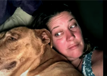 Couple Wakes Up And Finds an Unknown Dog Cuddled in Their Bed