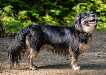 10 Unbelievable True Stories That Show Life Can Be More Surprising Than Stories