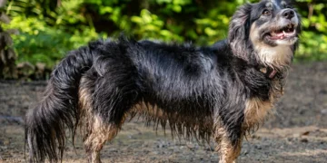 10 Unbelievable True Stories That Show Life Can Be More Surprising Than Stories