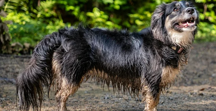 10 Unbelievable True Stories That Show Life Can Be More Surprising Than Stories