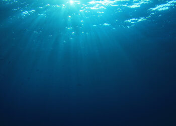 Amazing Footage Shows Submarine Meeting Ancient Sea Creature Predating Dinosaurs