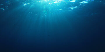 Amazing Footage Shows Submarine Meeting Ancient Sea Creature Predating Dinosaurs