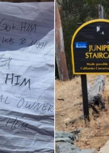 A Woman Found a Dog Tied to a Sign with a Heartbreaking Note