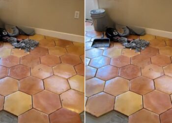 Home Renovation Uncovers Ancient Animal Prints Imprisoned In The Floor