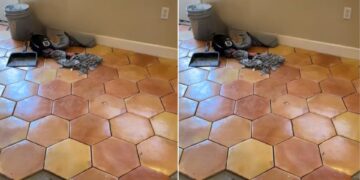 Home Renovation Uncovers Ancient Animal Prints Imprisoned In The Floor