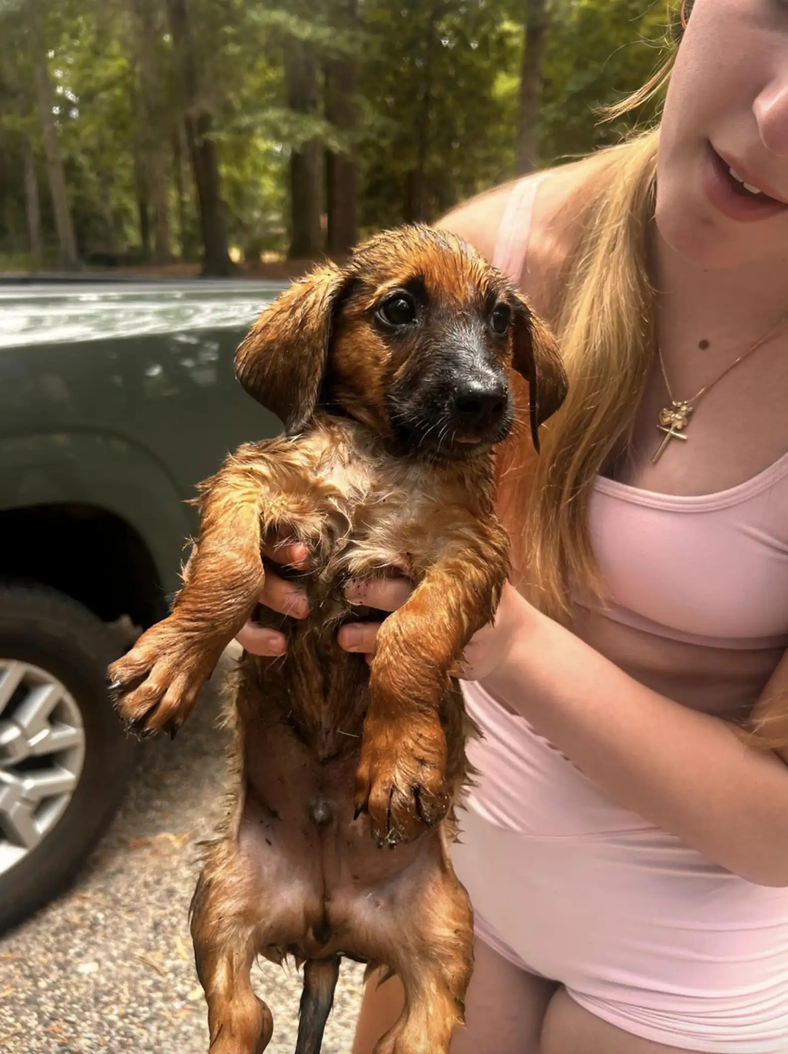 woman holding a brown puppy