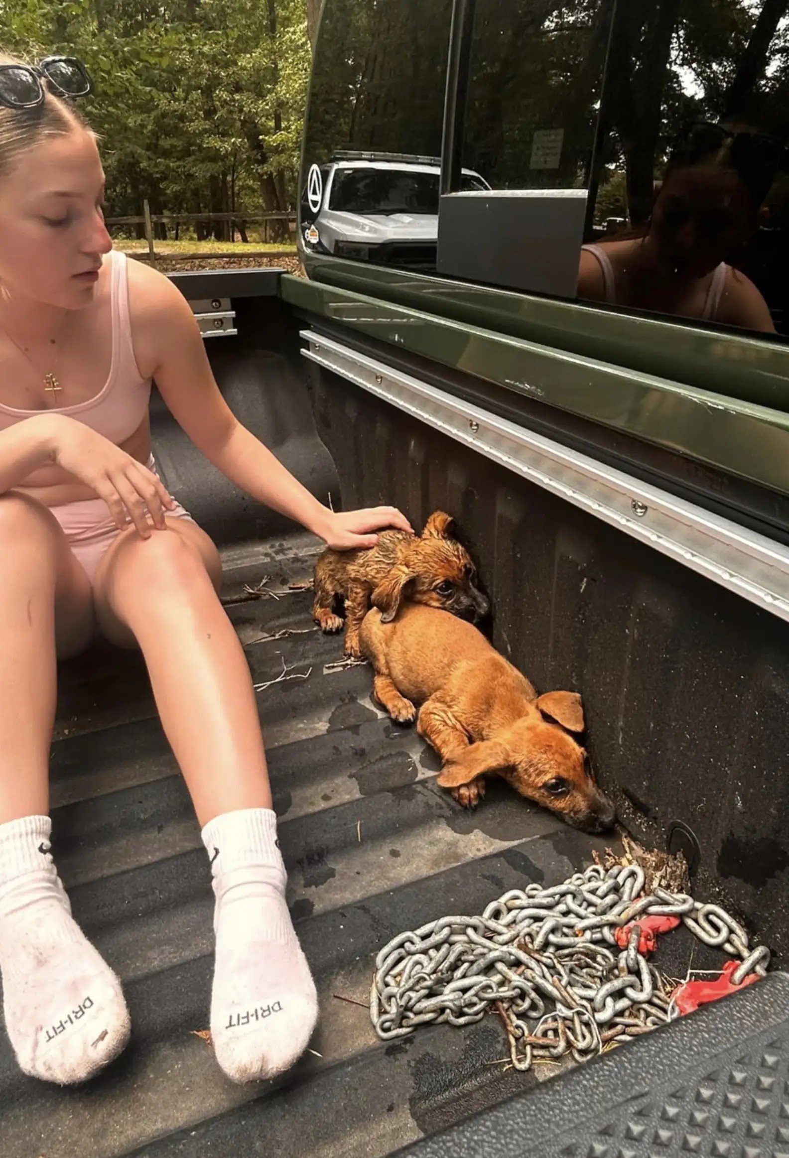 woman and two brown puppies