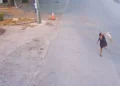 Surveillance Video Leads To Felony Charges Against Woman In Dog Abuse Case