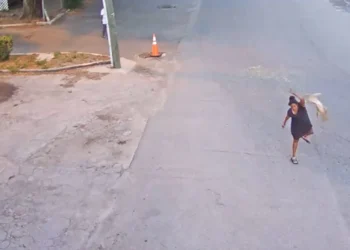 Surveillance Video Leads To Felony Charges Against Woman In Dog Abuse Case
