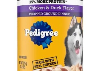 Popular Pedigree Dog Food Recalled Over Possible Metal And Plastic Pieces