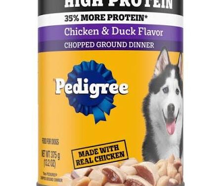Popular Pedigree Dog Food Recalled Over Possible Metal And Plastic Pieces