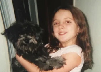 She Adopted an 11-Year-Old Dog. Then the Vet Checked Her Microchip